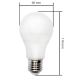 LED lemputė GLS E27/10W/230V