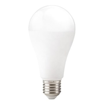 LED lemputė GS E27/22W/230V 6500K