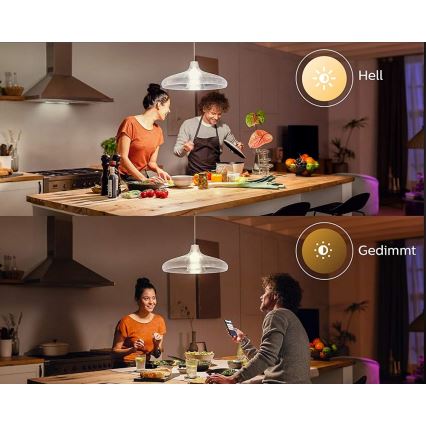 LED lemputė Philips Hue balta E67 E27/15,5W/230V