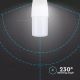 LED lemputė SAMSUNG CHIP T37 E14/8W/230V 4000K