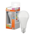 LED lemputė STAR E27/19W/230V 6500K - Osram