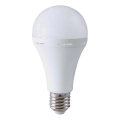 LED Lemputė su avariniu režimu A80 E27/12W/230V 4000K