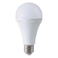 LED Lemputė su avariniu režimu A90 E27/15W/230V 4000K