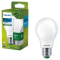 LED lemputė ULTRAEFFICIENT Philips A60 E27/5,2W/230V 4000K