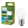 LED lemputė ULTRAEFFICIENT Philips P45 E27/1,2W/230V 2700K