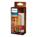 LED lemputė VINTAGE Philips T32 E27/7W/230V 1800K