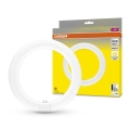 LED liuminescencinė lemputė, pailga G10q/11W/230V 3000K - Osram