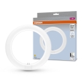 LED liuminescencinė lemputė, pailga G10q/11W/230V 4000K - Osram