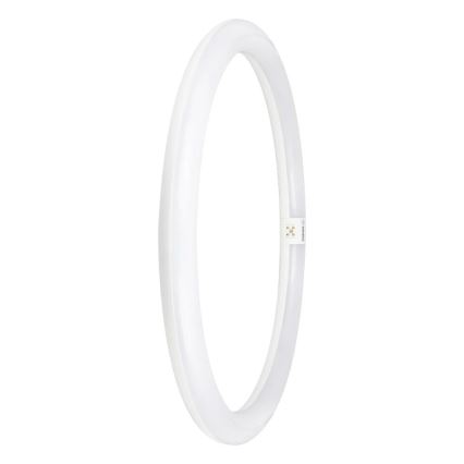 LED liuminescencinė lemputė, pailga G10q/24W/230V 6500K - Osram