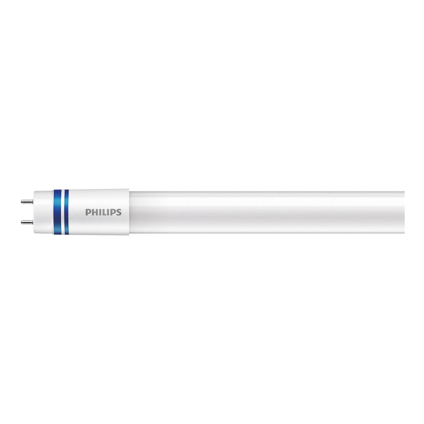 LED liuminescencinė lemputė, pailga Philips MASTER T5 G5/36W/75V 3000K 150 cm