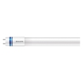 LED liuminescencinė lemputė, pailga Philips MASTER T8 G13/14W/80V 6500K 120 cm