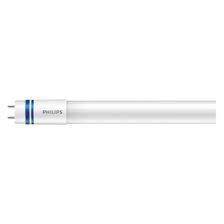 LED liuminescencinė lemputė, pailga Philips MASTER T8 G13/16W/80V 6500K 120 cm