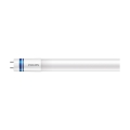 LED liuminescencinė lemputė, pailga Philips MASTER T8 G13/21,5W/230V 6500K 120 cm