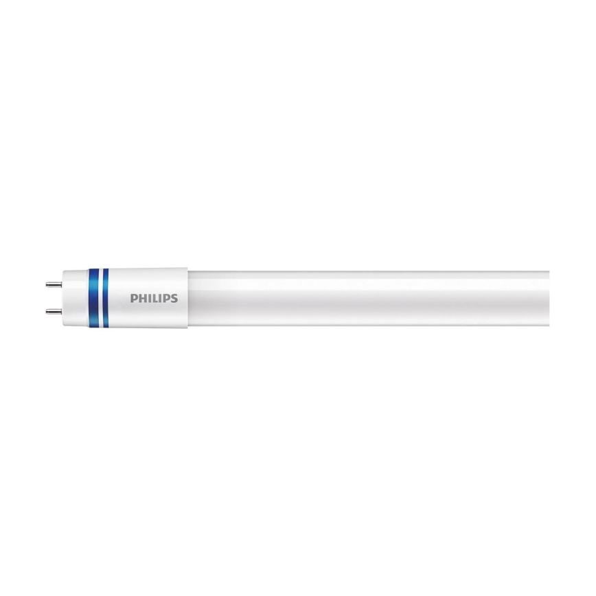 LED liuminescencinė lemputė, pailga Philips MASTER T8 G13/21,5W/230V 6500K 120 cm