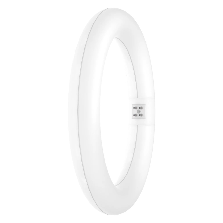 LED liuminescencinė lemputė, pailga SUBSTITUBE T9 G10q/12W/230V 4000K diametras 21,2 cm - Osram