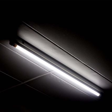 LED liuminescencinė lemputė, pailga T5 G5/16W/230V 6500K 120 cm