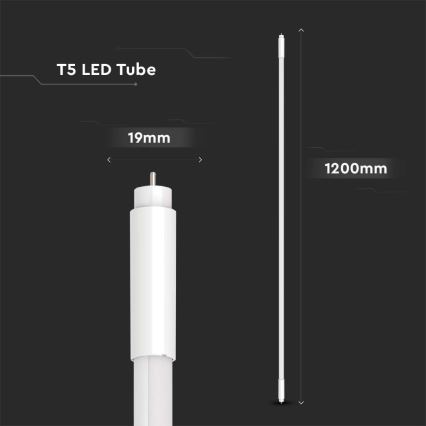 LED liuminescencinė lemputė, pailga T5 G5/16W/230V 6500K 120 cm