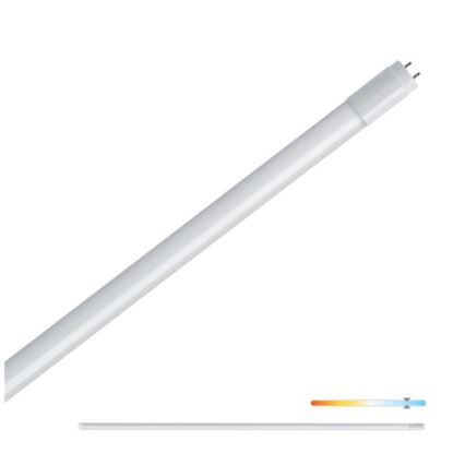 LED liuminescencinė lemputė, pailga T8 G13/22W/230V 6500K 150 cm