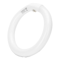 LED liuminescencinė lemputė, pailga T9 G24q-1/22W/230V 6500K - Aigostar