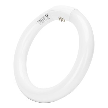 LED liuminescencinė lemputė, pailga T9 G24q-1/22W/230V 6500K - Aigostar