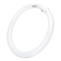 LED liuminescencinė lemputė, pailga T9 G24q-1/32W/230V 6500K - Aigostar