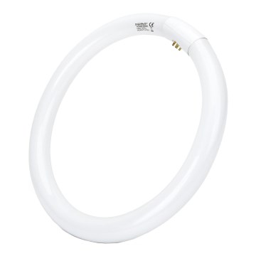 LED liuminescencinė lemputė, pailga T9 G24q-1/32W/230V 6500K - Aigostar