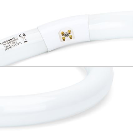 LED liuminescencinė lemputė, pailga T9 G24q-1/32W/230V 6500K - Aigostar