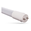 LED liuminescencinė lemputė, pailga TUBE T8 G13/17W/230V 3000K 120 cm