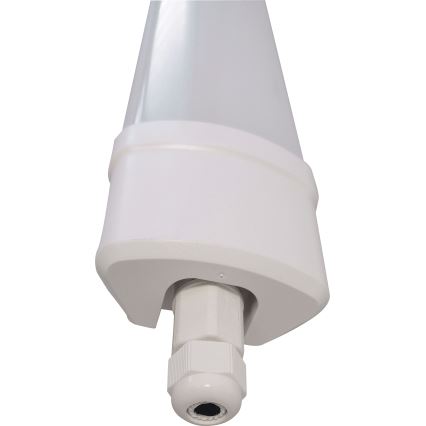 LED Liuminescencinis šviestuvas DAISY LED/40W/230V 4000K IP65