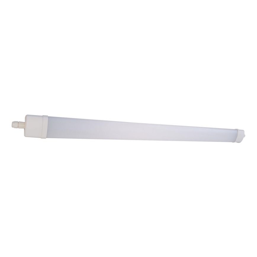 LED Liuminescencinis šviestuvas DAISY LED/80W/230V 4000K IP65