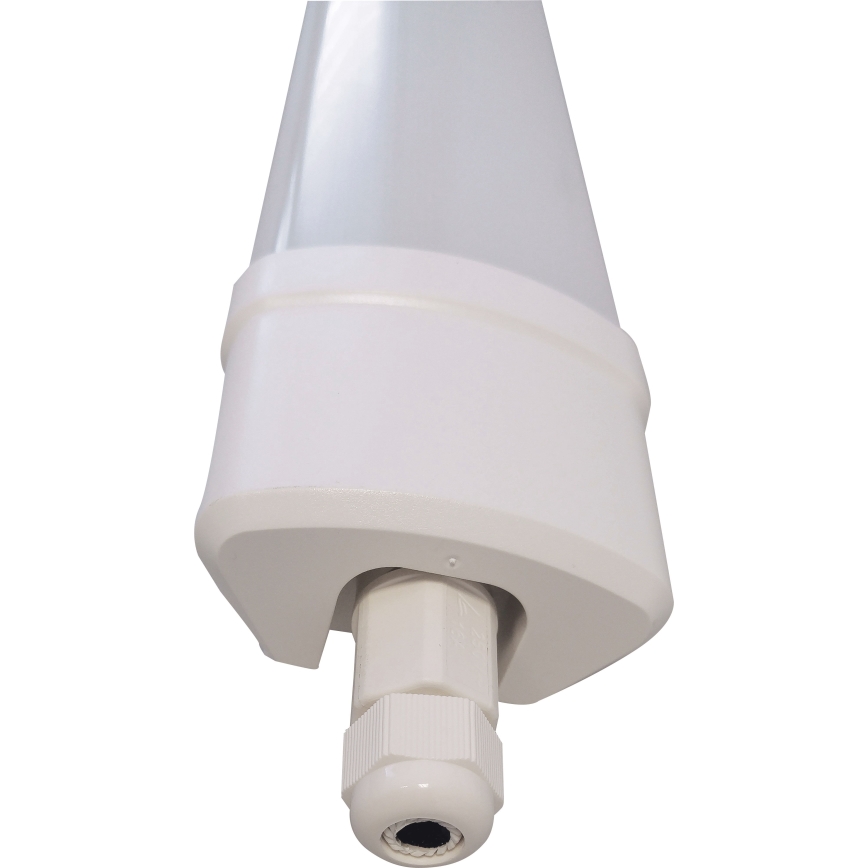 LED Liuminescencinis šviestuvas DAISY LED/80W/230V 4000K IP65