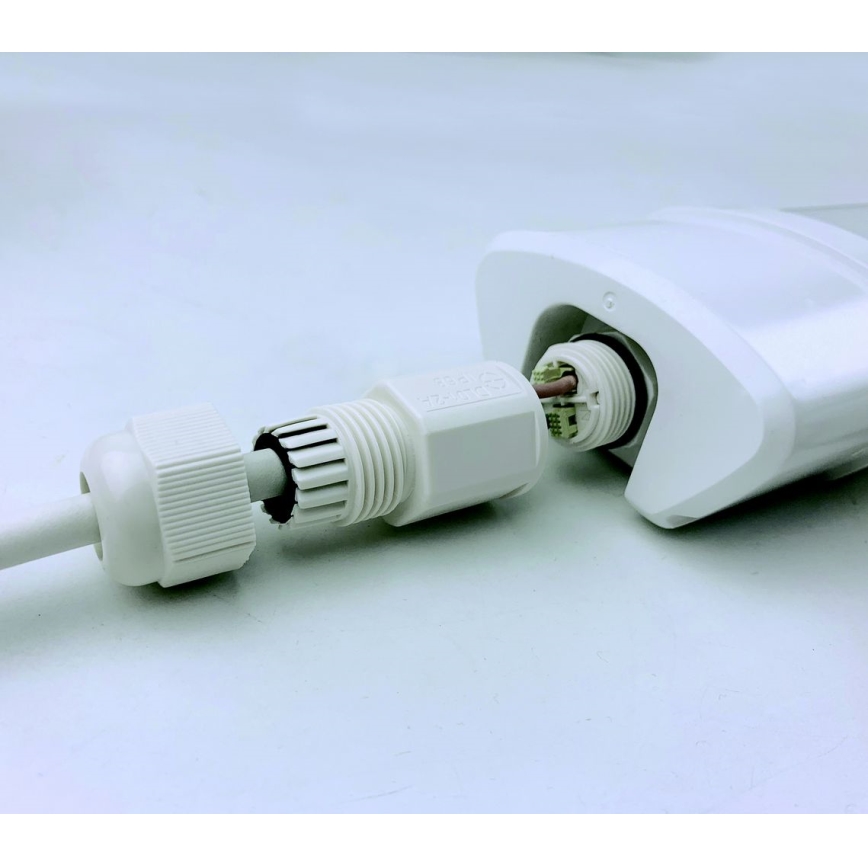 LED Liuminescencinis šviestuvas DAISY LED/80W/230V 4000K IP65