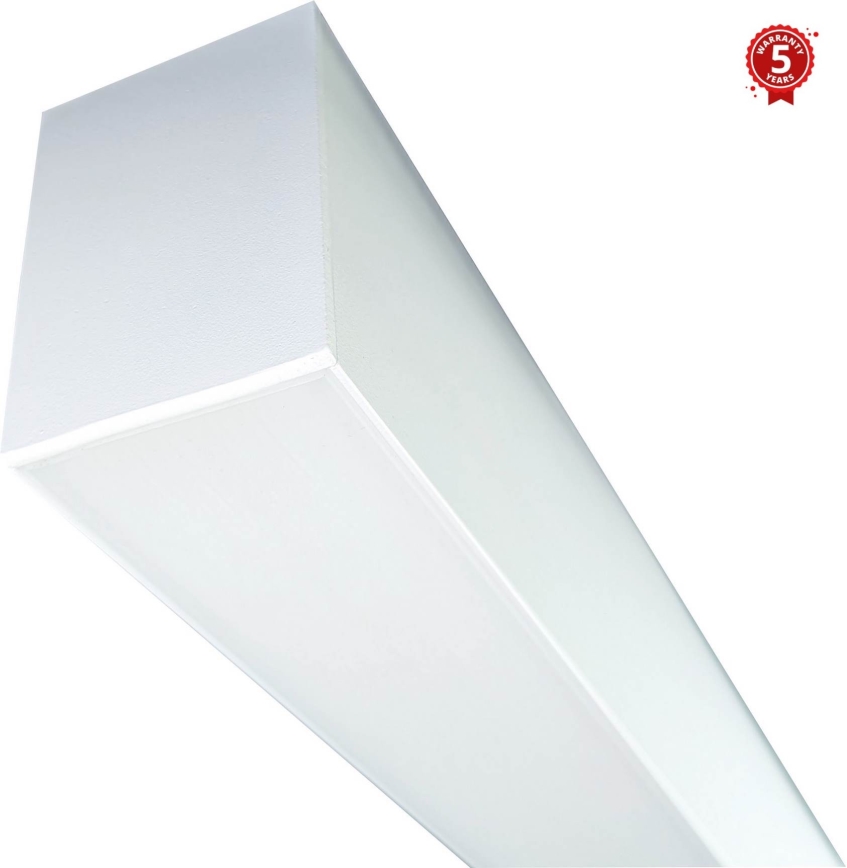 LED Liuminescencinis šviestuvas LINIK LED/20W/230V 4000K balta
