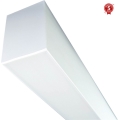 LED Liuminescencinis šviestuvas LINIK LED/20W/230V 4000K balta