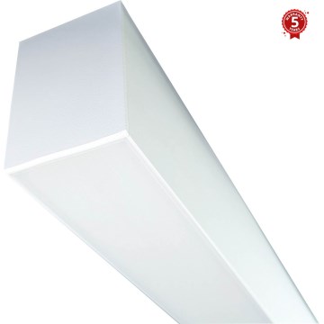 LED Liuminescencinis šviestuvas LINIK LED/20W/230V 4000K balta