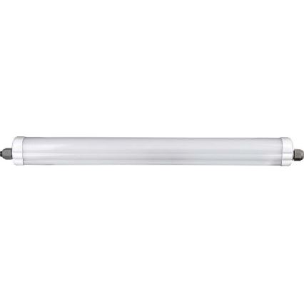 LED liuminescencinis techninis šviestuvas G-SERIES LED/18W/230V 6500K IP65 60 cm