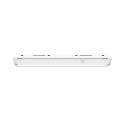 LED liuminescencinis techninis šviestuvas LIMEA GIGANT PRO LED/12/21W/230V 4000K IK10 IP66 60 cm