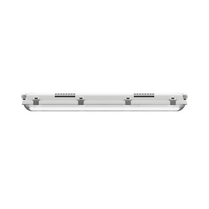LED liuminescencinis techninis šviestuvas LIMEA GIGANT PRO LED/12/21W/230V 4000K IK10 IP66 60 cm