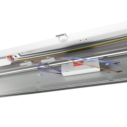 LED liuminescencinis techninis šviestuvas LIMEA GIGANT PRO LED/40/54/68/85W/230V 4000K IK10 IP66 150 cm