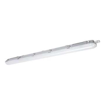 LED liuminescencinis techninis šviestuvas NEXFORCE LED/36W/230V 4000K IP66