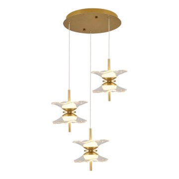 LED liustra ant laido BUTTERFLY 6xLED/5W/230V 3000K auksinė