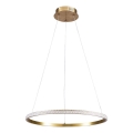 LED liustra ant laido DIANA LED/25W/230V 4000K skersmuo 50 cm auksinė