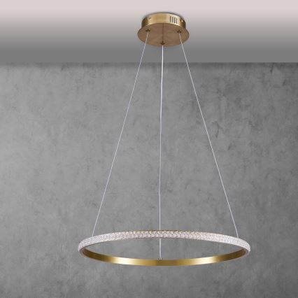 LED liustra ant laido DIANA LED/25W/230V 4000K skersmuo 50 cm auksinė
