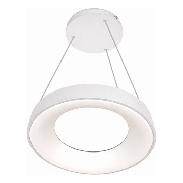 LED liustra ant laido DRAX LED/32W/230V 4000K skersmuo 38 cm balta