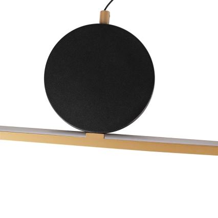 LED liustra ant laido FLORENTYNA LED/48W/230V 4000K auksinė/juoda