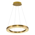 LED liustra ant laido JESI LED/85W/230V 3000K, skersmuo 80 cm, bronzinė