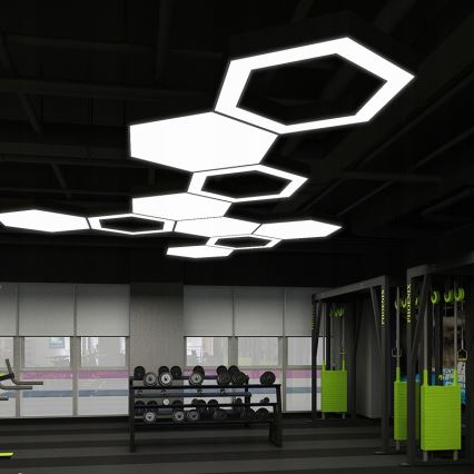 LED liustra ant laido LED/20W/230V juoda