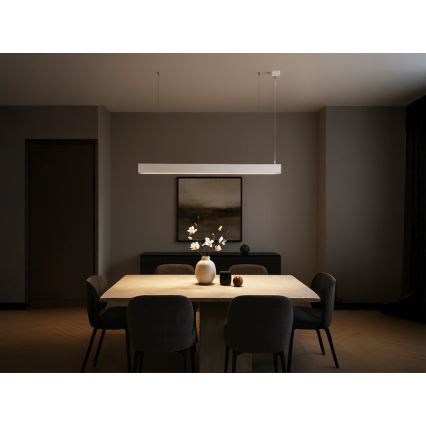LED liustra ant laido LED/55W/230V 3000/4000/6500K 120 cm balta