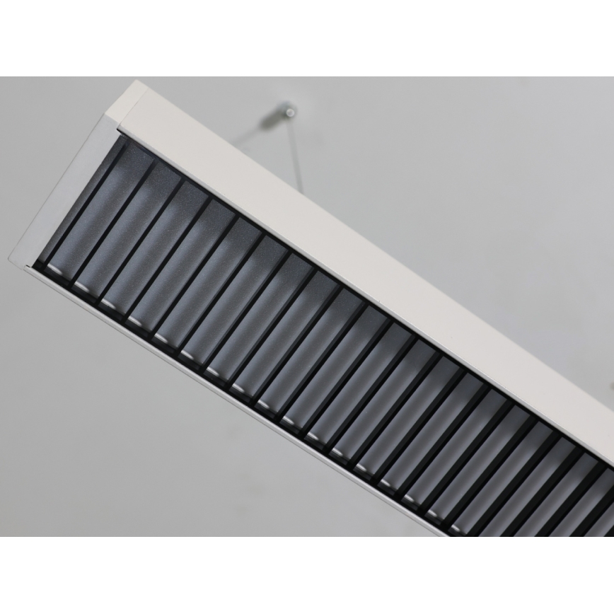 LED liustra ant laido LED/55W/230V 3000/4000/6500K 120 cm balta