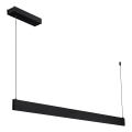 LED liustra ant laido LINEA LED/36W/230V 3000/4000/5700K CRI 90 juoda